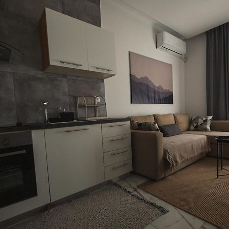 Luxury Apartment In The Center Of Ioannina City ภายนอก รูปภาพ
